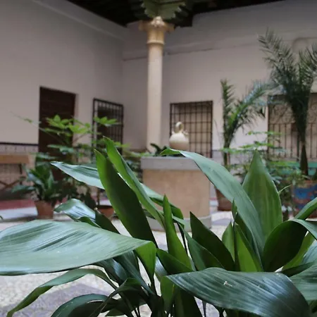 Apartment Sweet Home By Toledo Ap *